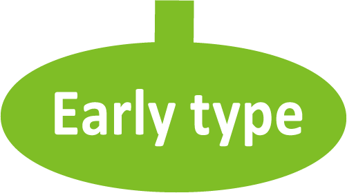 early-type