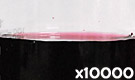 「食用色素製剤 ぶどう色」の水溶希釈例（10000倍）