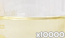 「クルクミンGS （ウコン色素）」の水溶希釈例（10000倍）