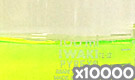 「化粧品用色素 緑色204号 ピラニンコンク」の水溶希釈例（10000倍）