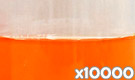 「ハイオレンジSPN （トウガラシ色素）」の水溶希釈例（10000倍）