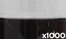 「ハイレッドG-150 （ブドウ果皮色素）」の水溶希釈例（1000倍）