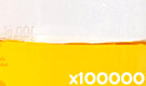 「食用色素製剤 金茶色 SN-8」の水溶希釈例（100000倍）