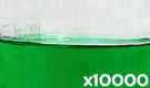 「食用色素製剤 メロングリーンT」の水溶希釈例（10000倍）