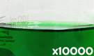「食用色素製剤 メロン色」の水溶希釈例（10000倍）