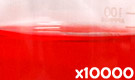 「食用赤色102号 ニューコクシン」の水溶希釈例（10000倍）