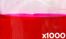 「食用赤色105号 ローズベンガル」の水溶希釈例（1000倍）