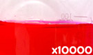 「食用赤色105号 ローズベンガル」の水溶希釈例（10000倍）