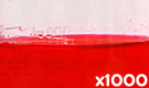 「食用赤色3号 エリスロシン」の水溶希釈例（1000倍）