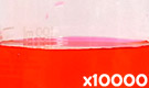 「化粧品用色素 赤色3号 エリスロシン」の水溶希釈例（10000倍）