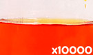 「食用色素製剤 うに色 SS-8」の水溶希釈例（10000倍）
