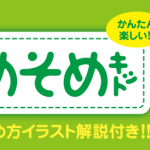 そめそめキットウールナイロン用