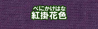 紅掛花色に染める - そめそめキットPro