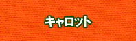 キャロット色に染める - そめそめキットPro