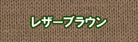 レザーブラウン色に染める - そめそめキットPro