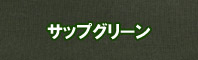 サップグリーン色に染める - そめそめキットPro