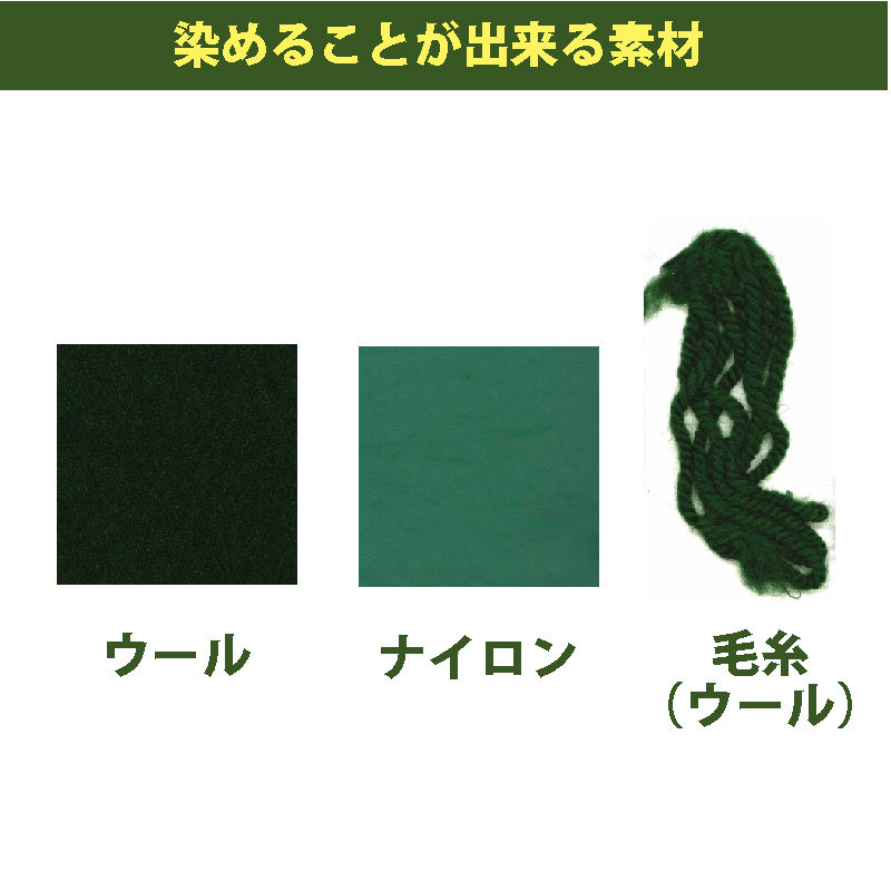 送料無料 メール便のみ カクタスグリーン Cactus Green 色色 染料 そめそめキットpro ウール ナイロン用 Sサイズ 染め粉 家庭用染料 布用の染色 手芸 色止め剤つきプロ仕様 緑色 グリーン