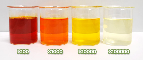 アナトー色素・アンナットーWA-20の水溶希釈例（100倍～10万倍）