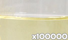 「アンナットーWA-20（アナトー色素）」の水溶希釈例（100000倍）