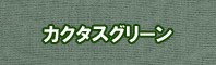 カクタスグリーン色に染める - そめそめキットPro