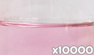 「コチニールレッドAL (コチニール色素)」の水溶希釈例(10000倍)