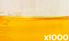 「クロシンG-150（クチナシ黄色素）」の水溶希釈例（1000倍）