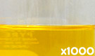 「クロシンL（クチナシ黄色素）」の水溶希釈例（1000倍）