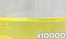 「クロシンL（クチナシ黄色素）」の水溶希釈例（10000倍）