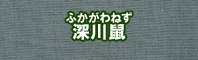 深川鼠色に染める - そめそめキットPro
