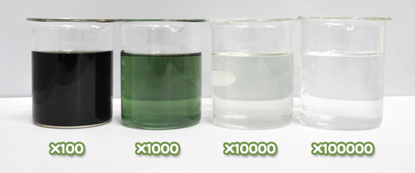 緑色着色料製剤・ハイグリーンFの水溶希釈例（100倍～10万倍）