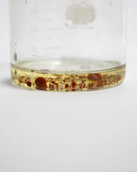 油にはじかれる水溶性の天然色素