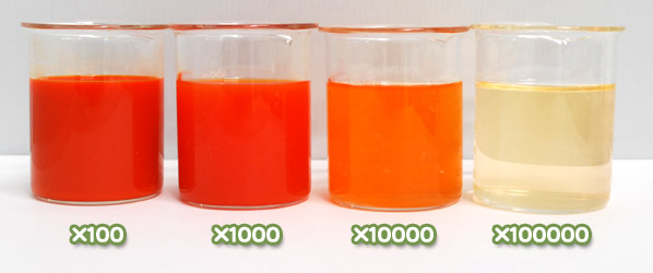 トウガラシ色素・ハイオレンジSS-44Rの水溶希釈例（100倍～10万倍）