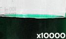 「食用色素製剤 みどり色B」の水溶希釈例（10000倍）