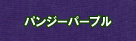 パンジーパープル色に染める - そめそめキットPro