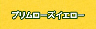 プリムローズイエロー色に染める - そめそめキットPro
