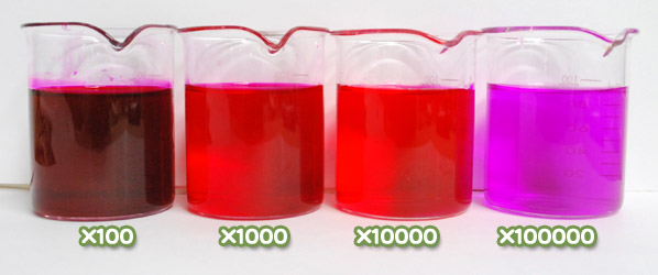 食用色素 - 食用赤色105号 ローズベンガルの水溶希釈例（100倍～10万倍）