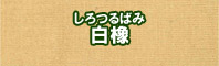白橡色に染める - そめそめキットPro
