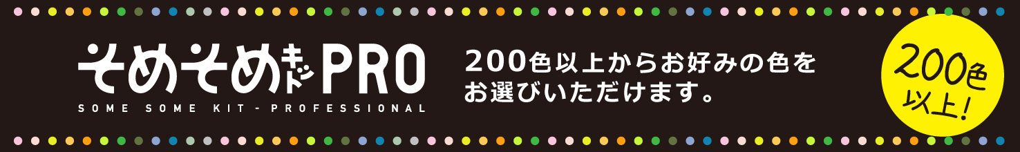 そめそめキットPRO色見本