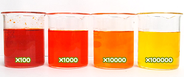 食用色素 - 食用黄色5号 サンセットイエローFCFの水溶希釈例（100倍～10万倍）