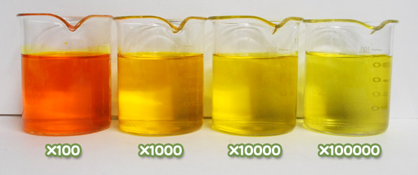 食用色素 - 食用黄色4号 タートラジンの水溶希釈例（100倍～10万倍）