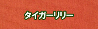 タイガーリリー色に染める - そめそめキットPro