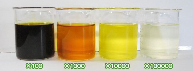 ベニバナ黄色素・サフラワーY1500の水溶希釈例（100倍～10万倍）